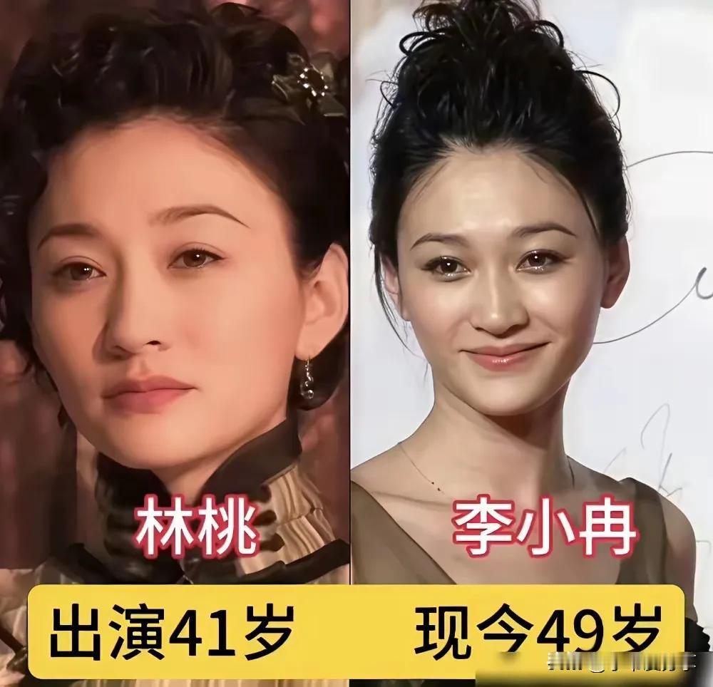 《风筝》这部电视剧演员演技特别好。李小冉的演艺生涯充满挑战，从《风筝》到《大丈