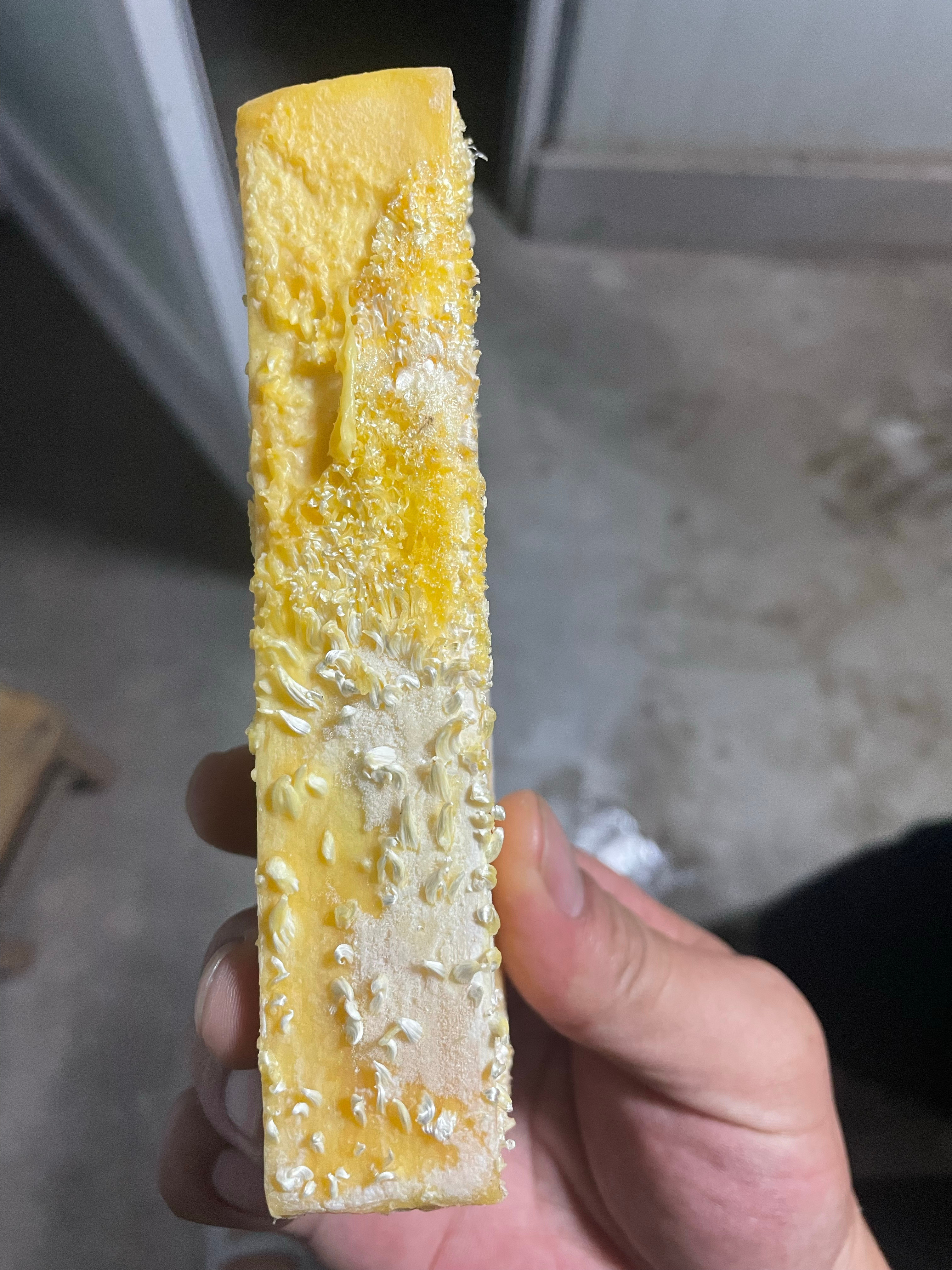 这块肥皂看起来好像自己成长了呢​​​