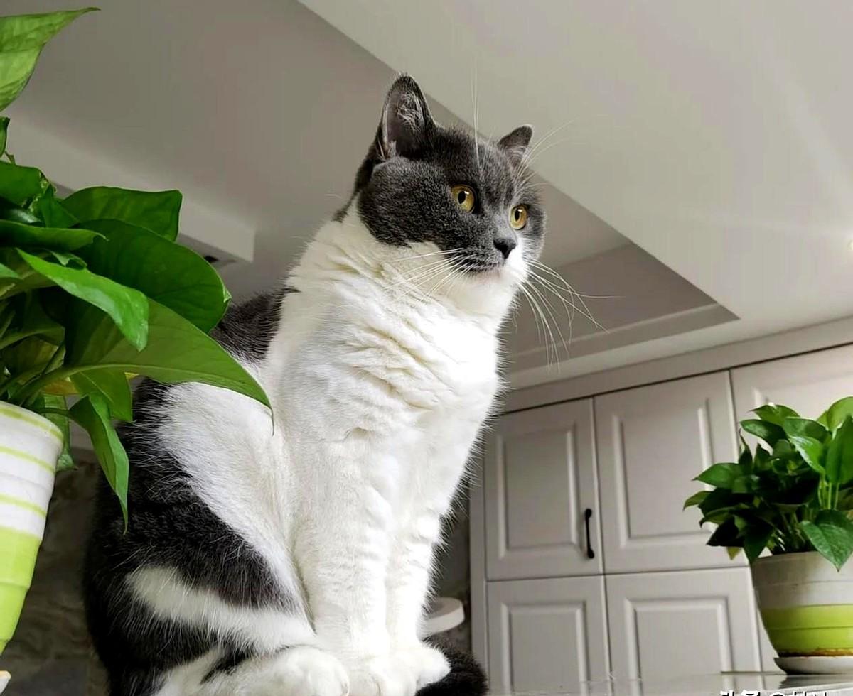 晨跑10公里：超越自我，拥抱健康生活。这句话强调了跑步作为养生方式的重要性，