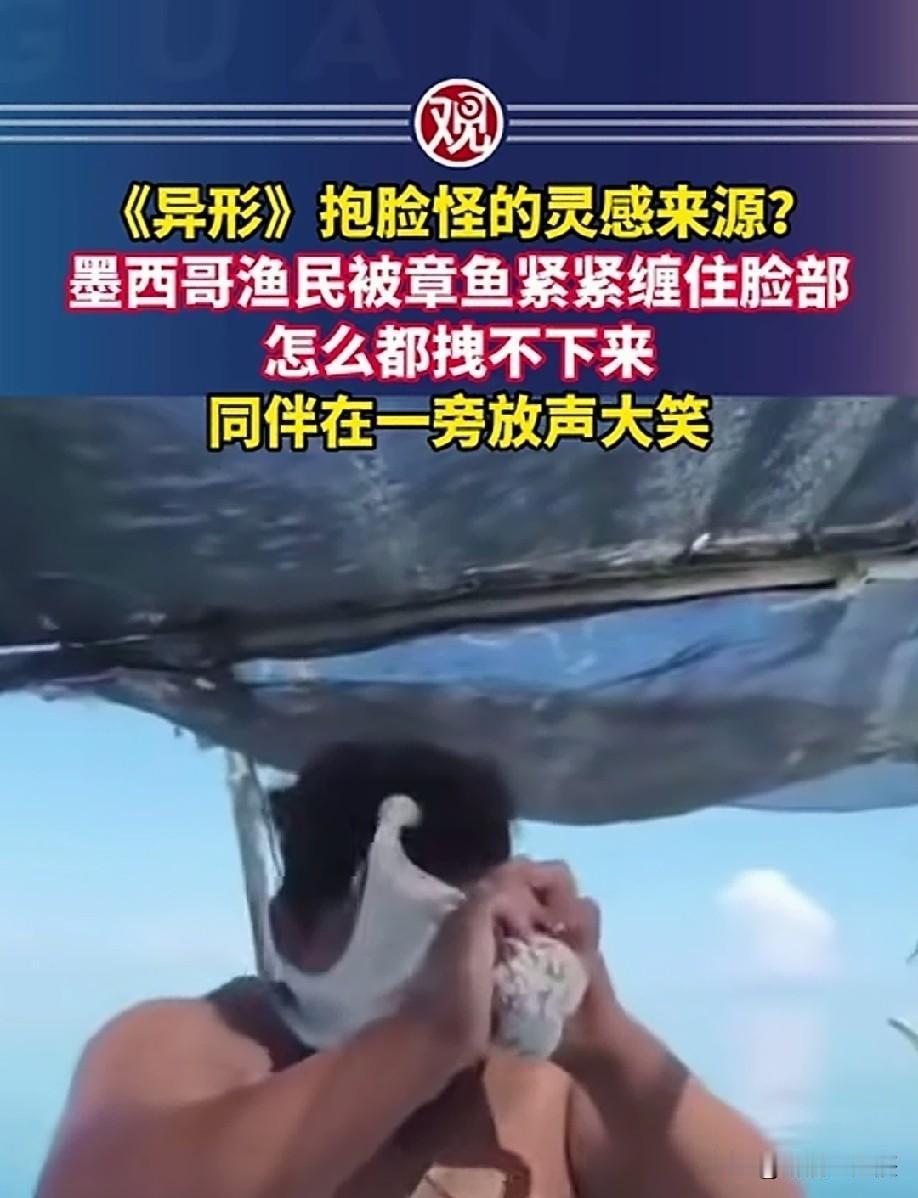 那异形产卵的灵感也是来自章鱼么？