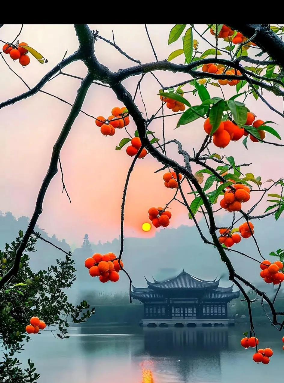 #人口减少房价就一定会跌吗#房子是大宗商品，它跟人口的多少是没有关系的。不会因为