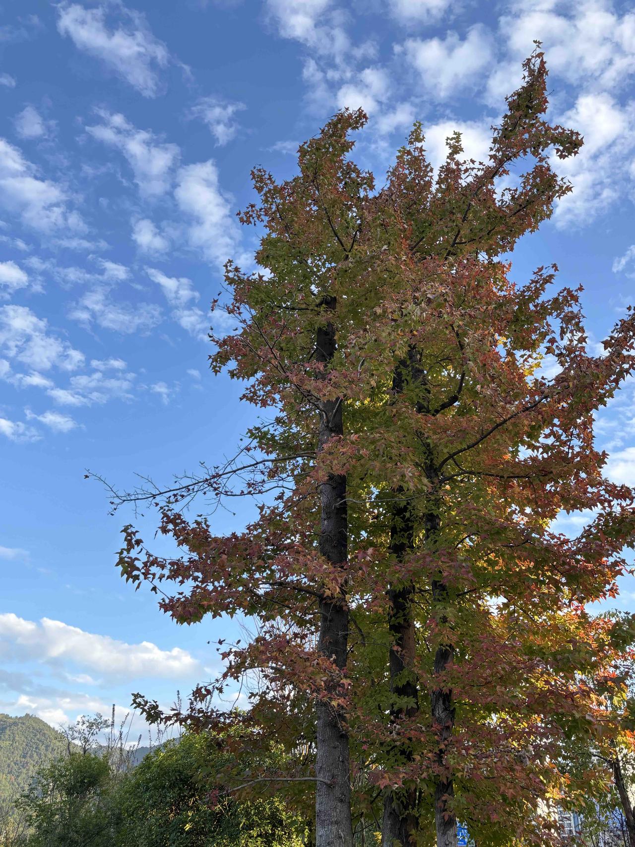 同事女儿读了大学的研究生，还想再去读博士，至今都没有谈过恋爱，为了想让女儿早点结