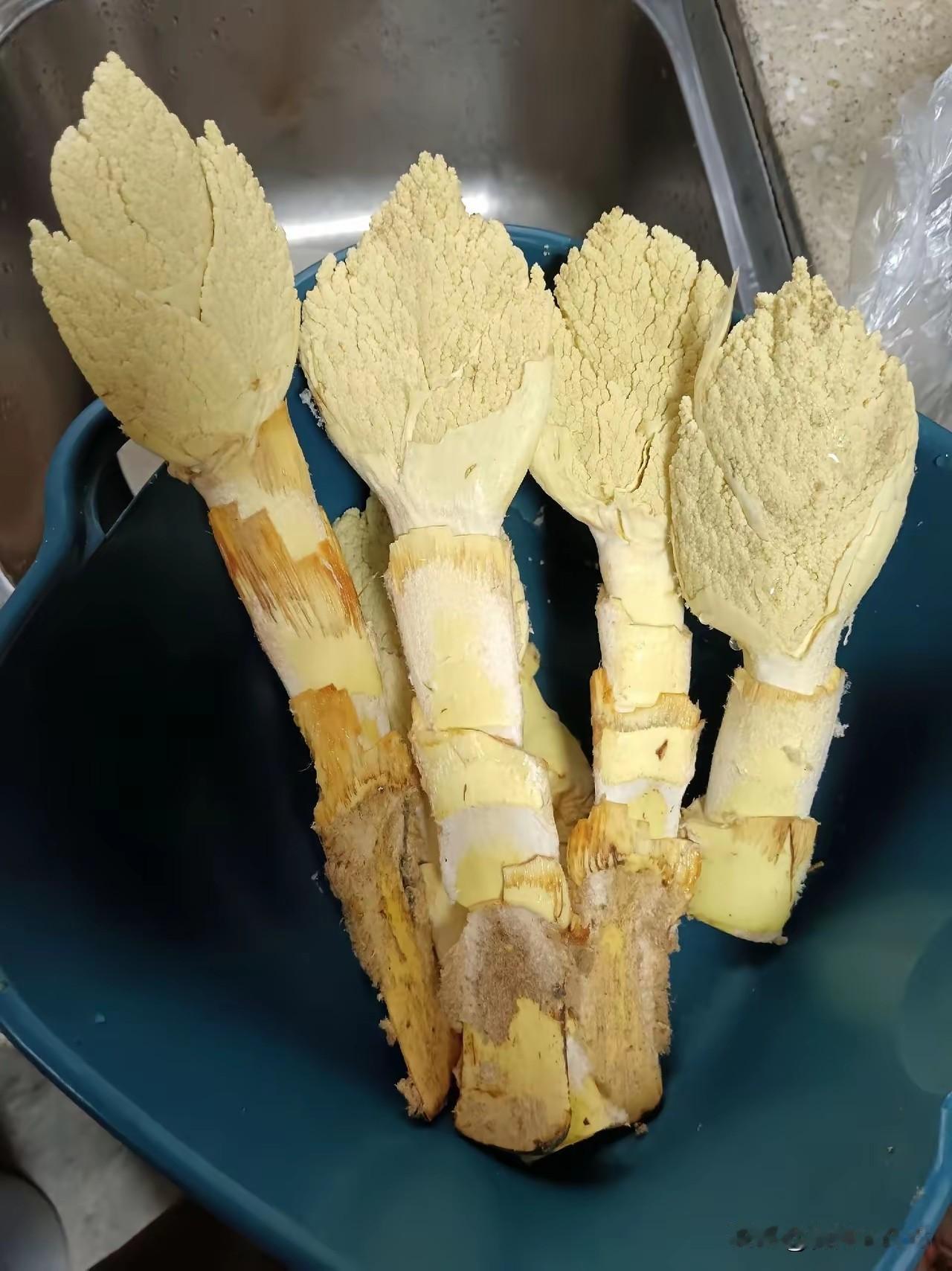 这是什么东西，有认识的吗