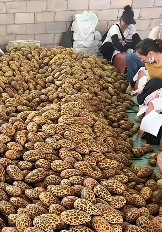广西，一男子闲来无事去郊外闲逛，路过一仓库时，听见里面人声嘈杂，探头往里面一