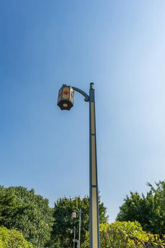 2026年1月，浙江绍兴新昌县世贸广场附近一根竹子火了。这根鸡蛋粗细的竹子，根部