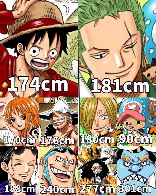 海贼王海贼王草帽一伙的身高