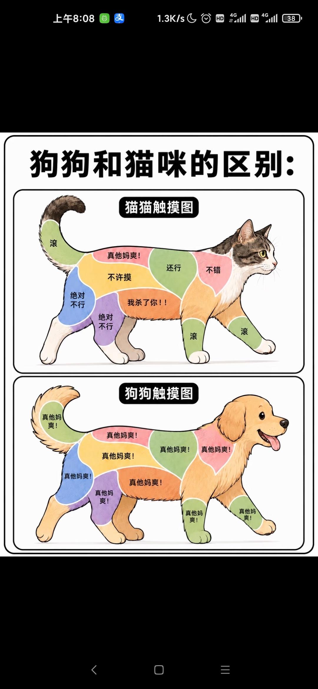 猫咪和狗狗的区别在哪里？