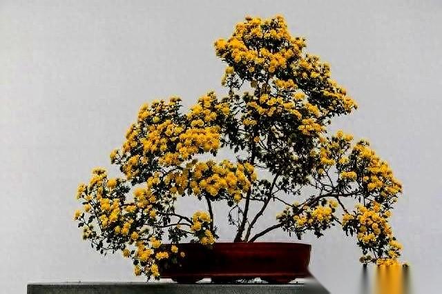 我跟你说，爸妈葬礼上，最能看清一件事。就是你跟你的兄弟姐妹，到底还算不算一家人