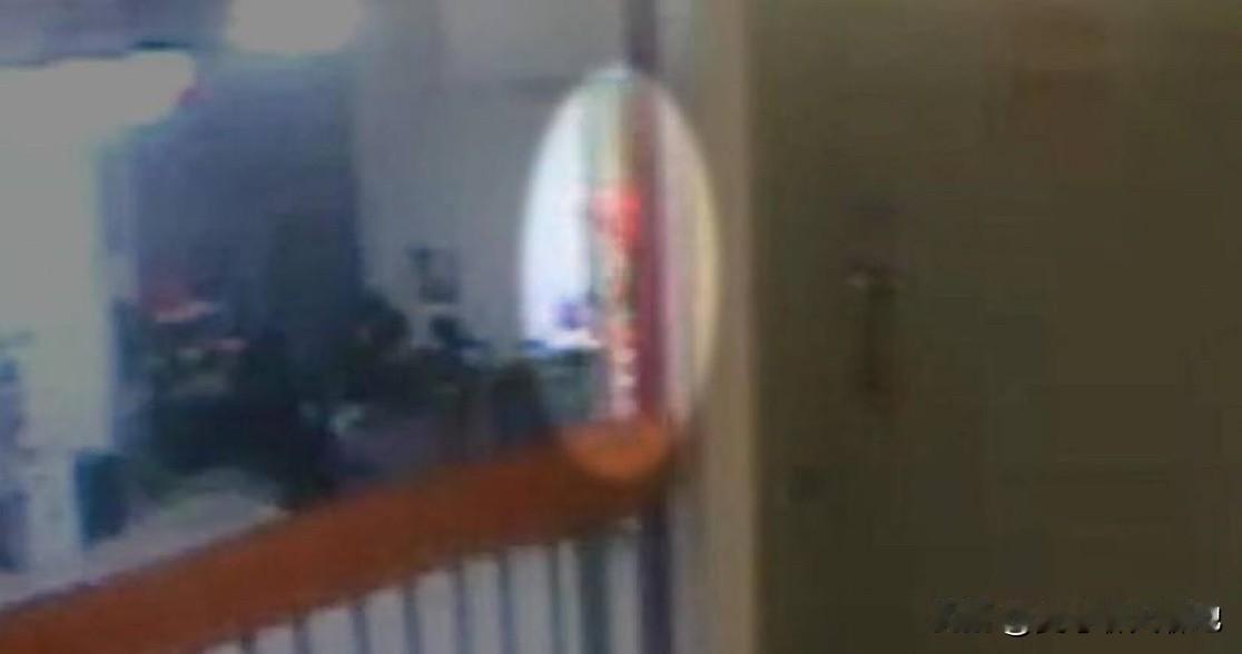 根据美国哥伦比亚广播公司新闻频道在2月5日的一篇报道详细披露的司法部视频记录，显