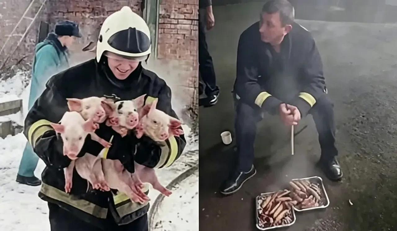 国外的一名消防员，冒死从火灾现场救出几只小猪，这一壮举被媒体当做众生平等，珍爱生