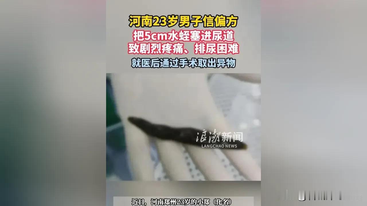 “是个狠人！”河南，一23岁小伙子因为好奇，把一只活体水蛭塞进了自己的尿道，谁