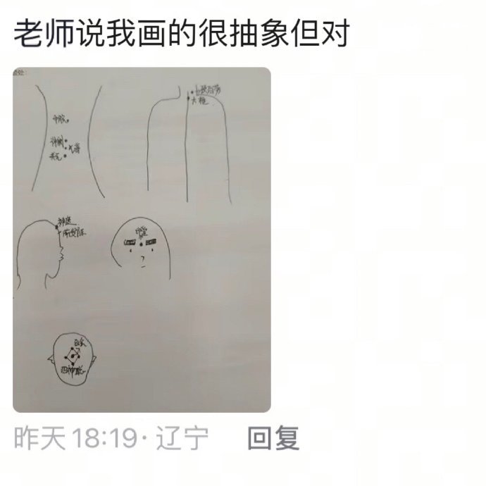 当没有绘画功底的人学医