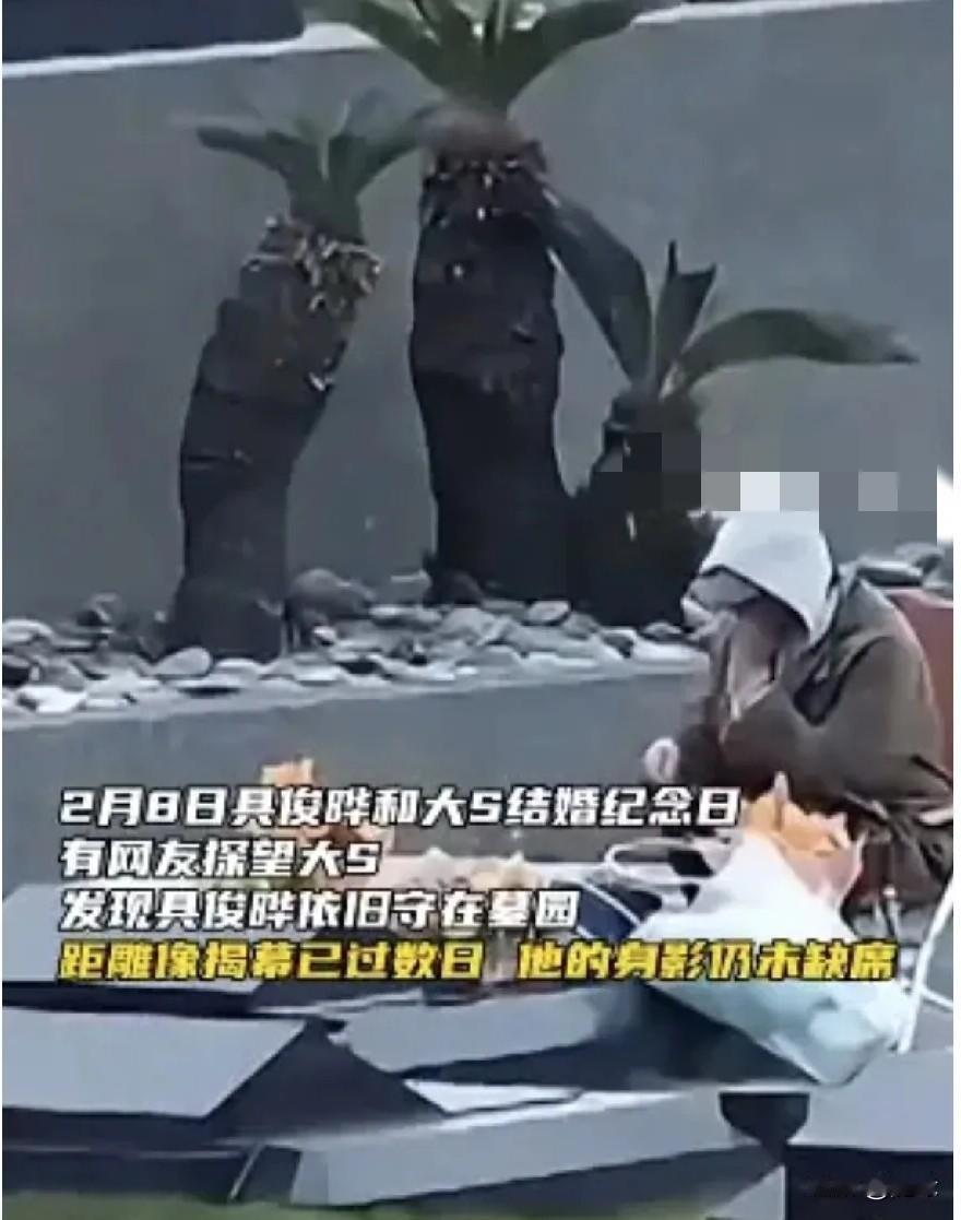 台媒曝光具俊晔最新动态！原来2月8日是具俊晔和大S结婚四周年纪念日！他再次现