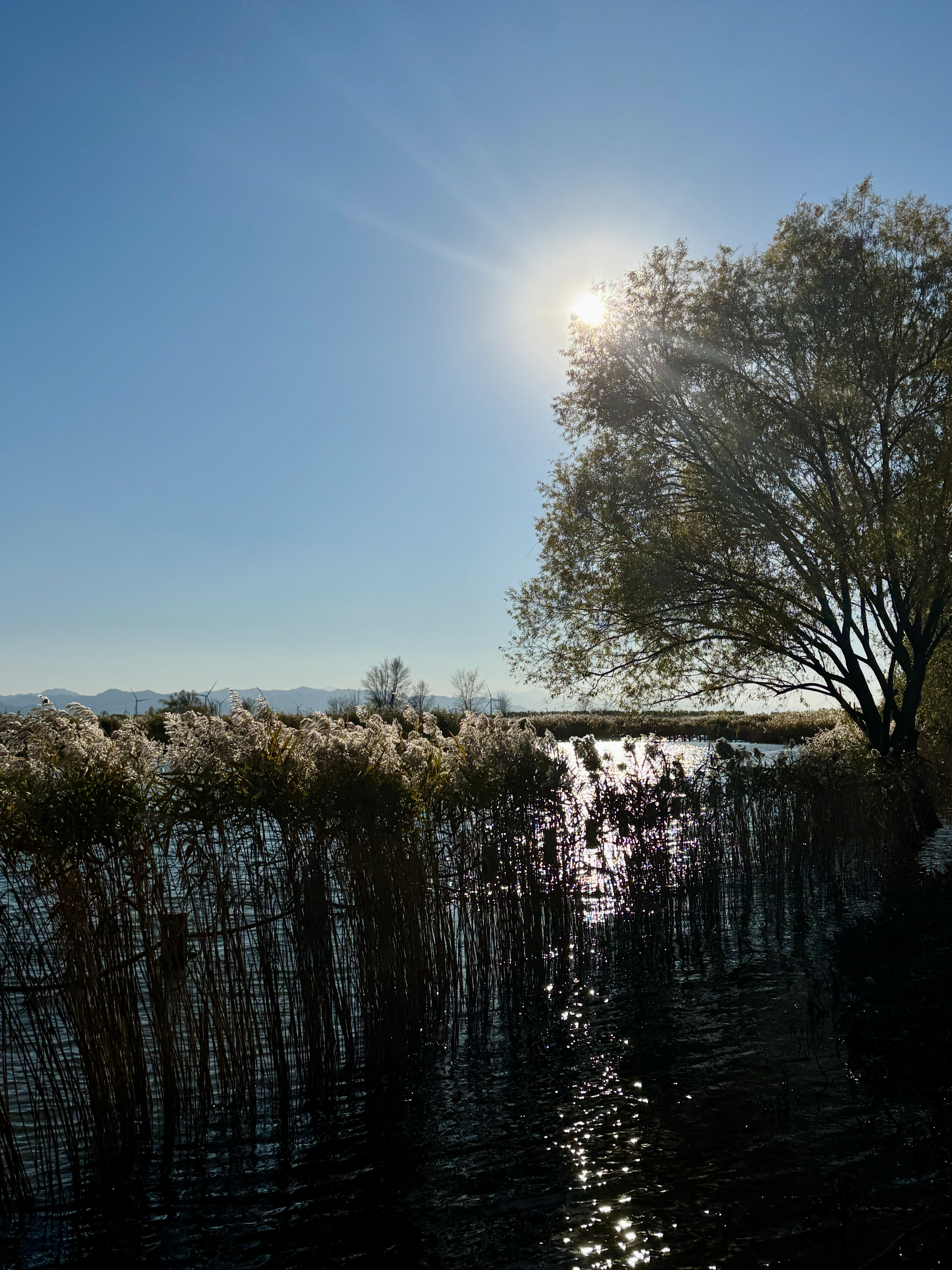 猫猫🐱狗狗🐶我我👸​​​