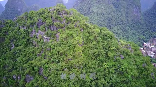 高官与风水