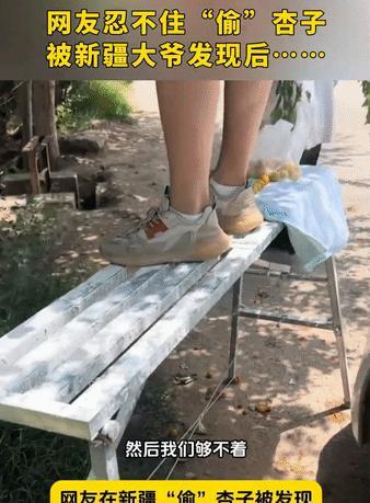 俩哥们自驾新疆游，瞧见农户家杏子诱人，忍不住偷摘。大爷发现后，没骂人，还笑问“梯