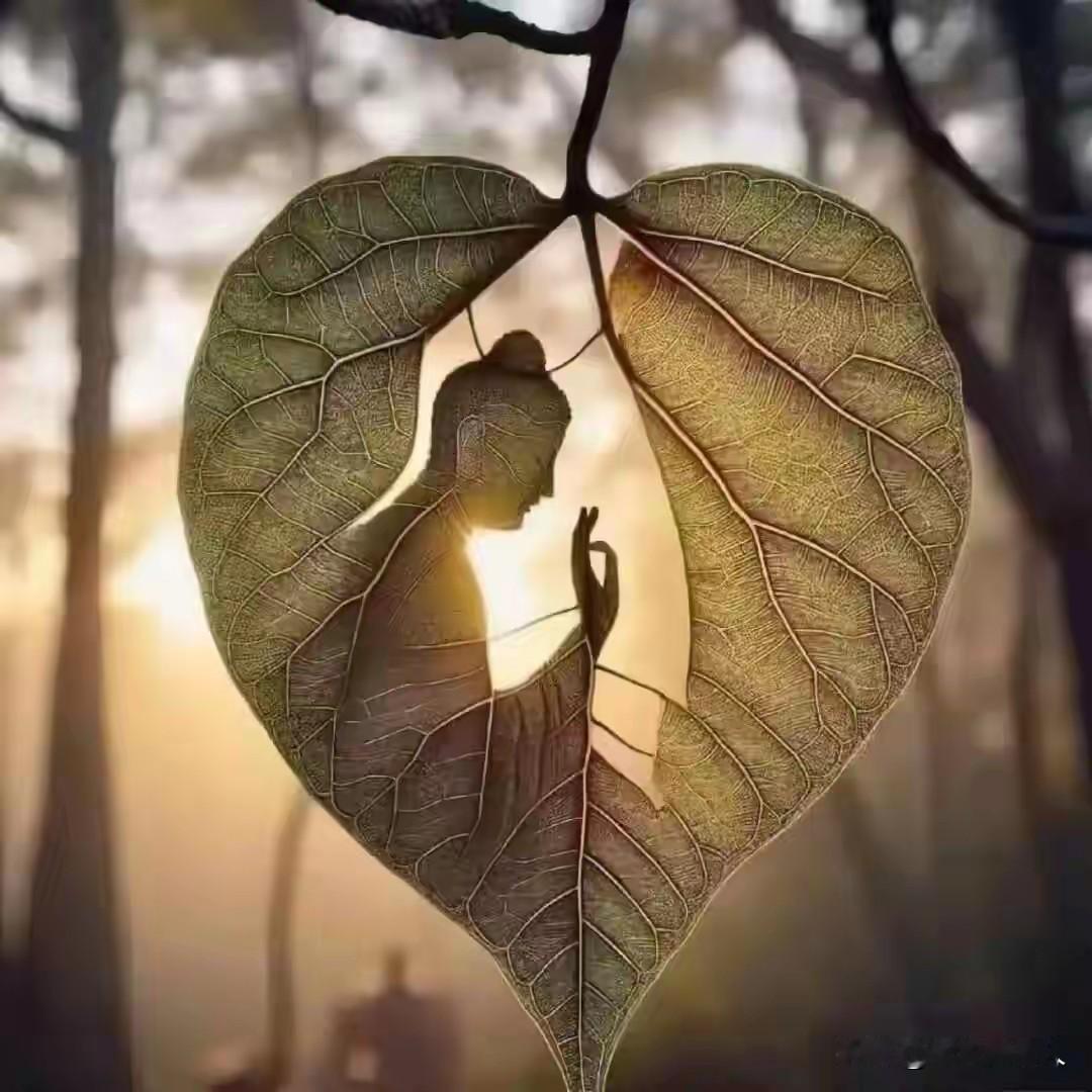 人为什么会猝死？猝死是什么原因造成的？猝死前1小时身体会发出预警吗？这些问题是