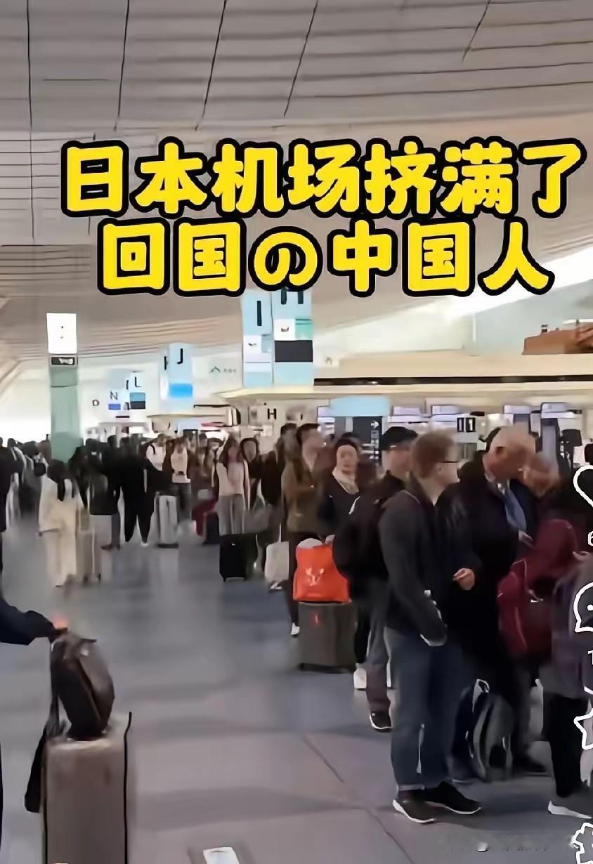 刚刚得知一个消息，差点惊掉了下巴，近几日，中日之间的航班取消率达到了惊人的2