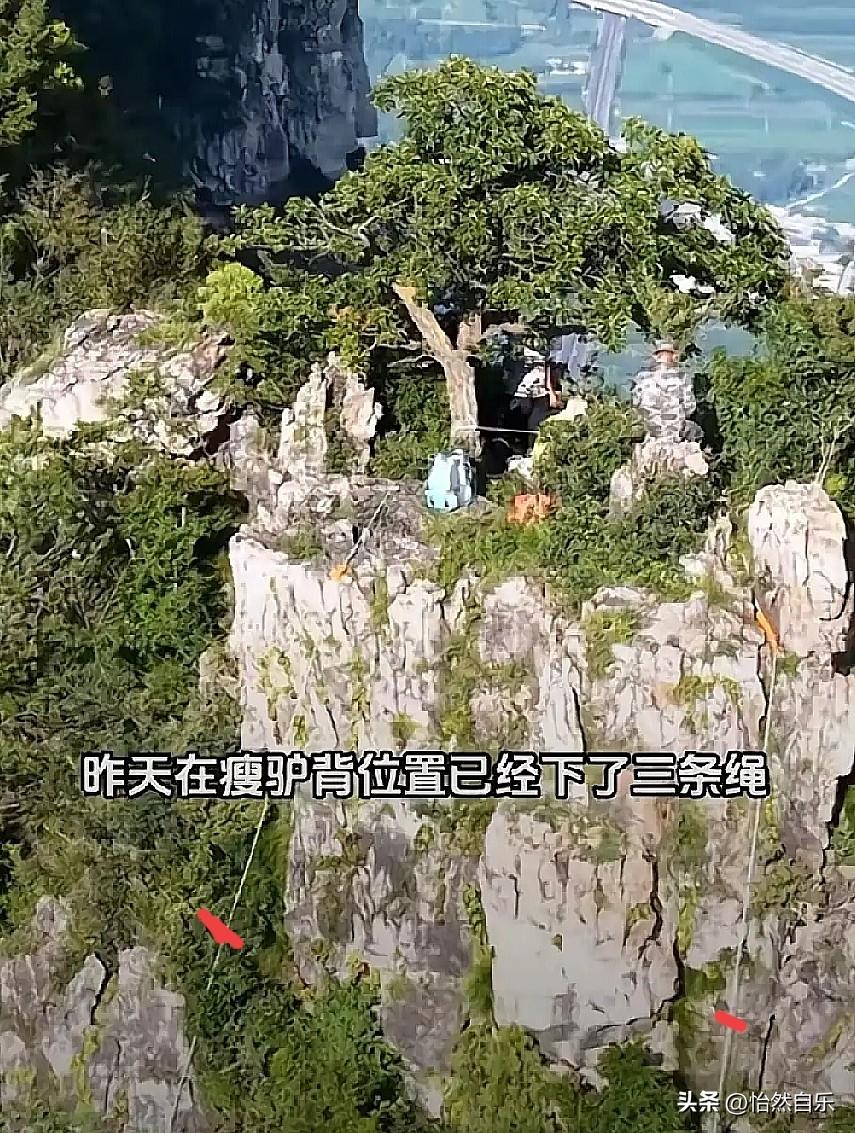 河南信阳那位22岁的姑娘，人终于找到了。虽然结果让人心里堵得慌，但是悬着的心