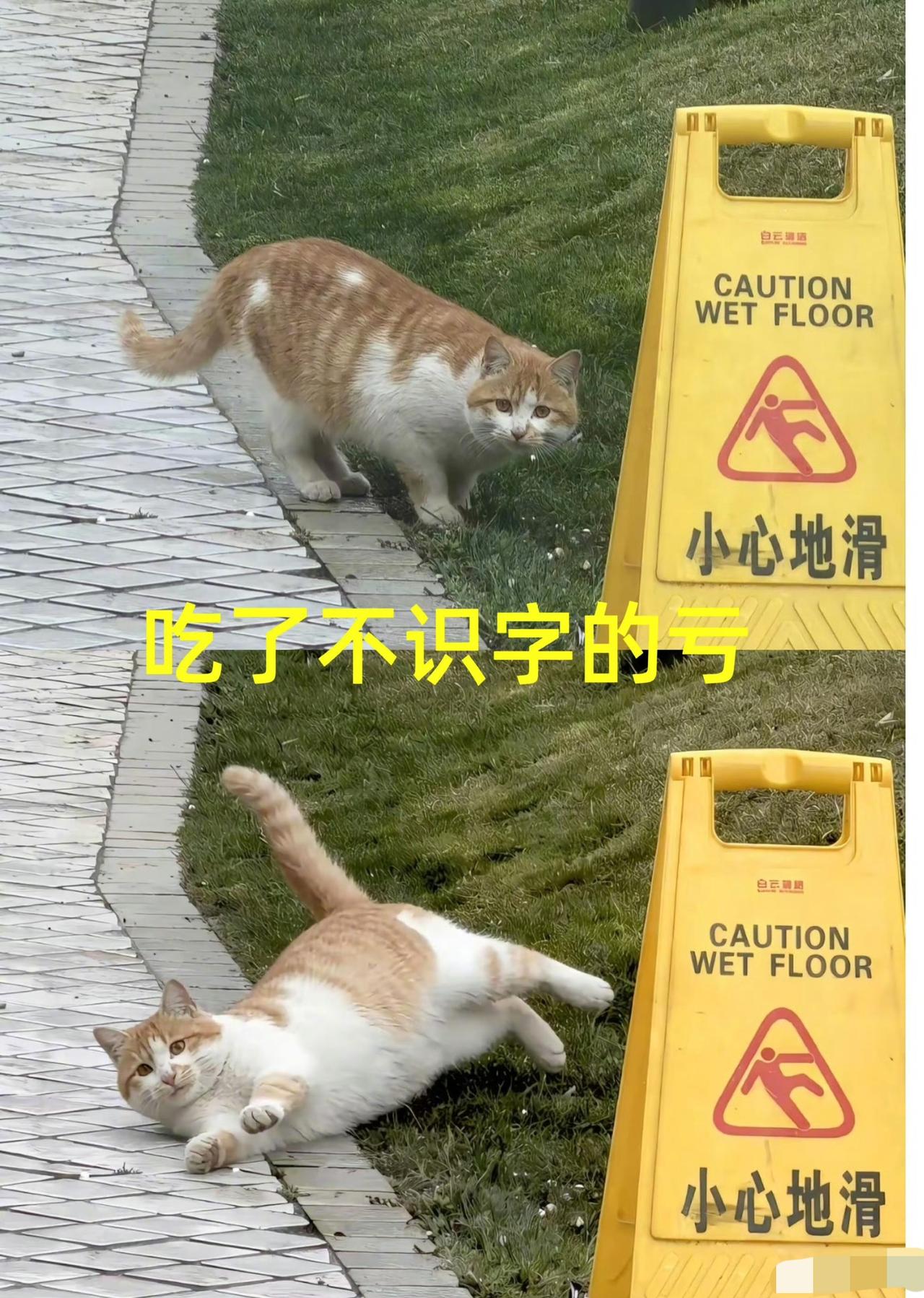吃了不识字的亏