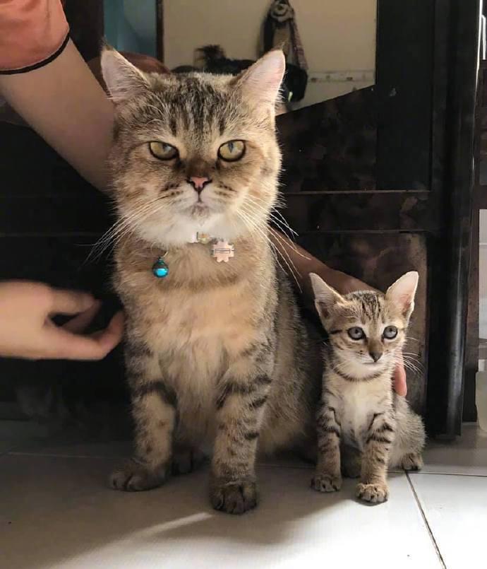 麻麻，拍照勒，开心一点，别这么严肃好...