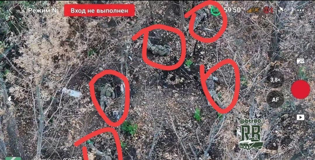 俄军确实一点都不仁慈！五名乌军突击小队，全部被俄军的无人机报销了！乌军突击小队想