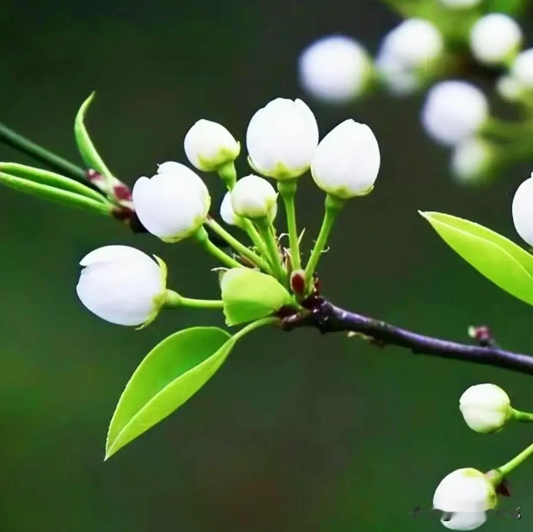 格力电器，什么情况？格力电器且前运行在所有均线的下方，这种压力不是一般的大，