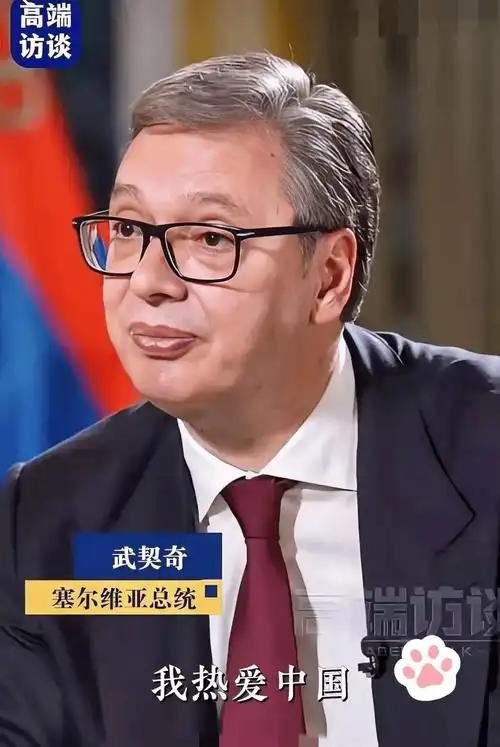 武契奇真是塞尔维亚稳定的定海神针。他访华期间，塞尔维亚亲西方的议长布尔纳比奇就