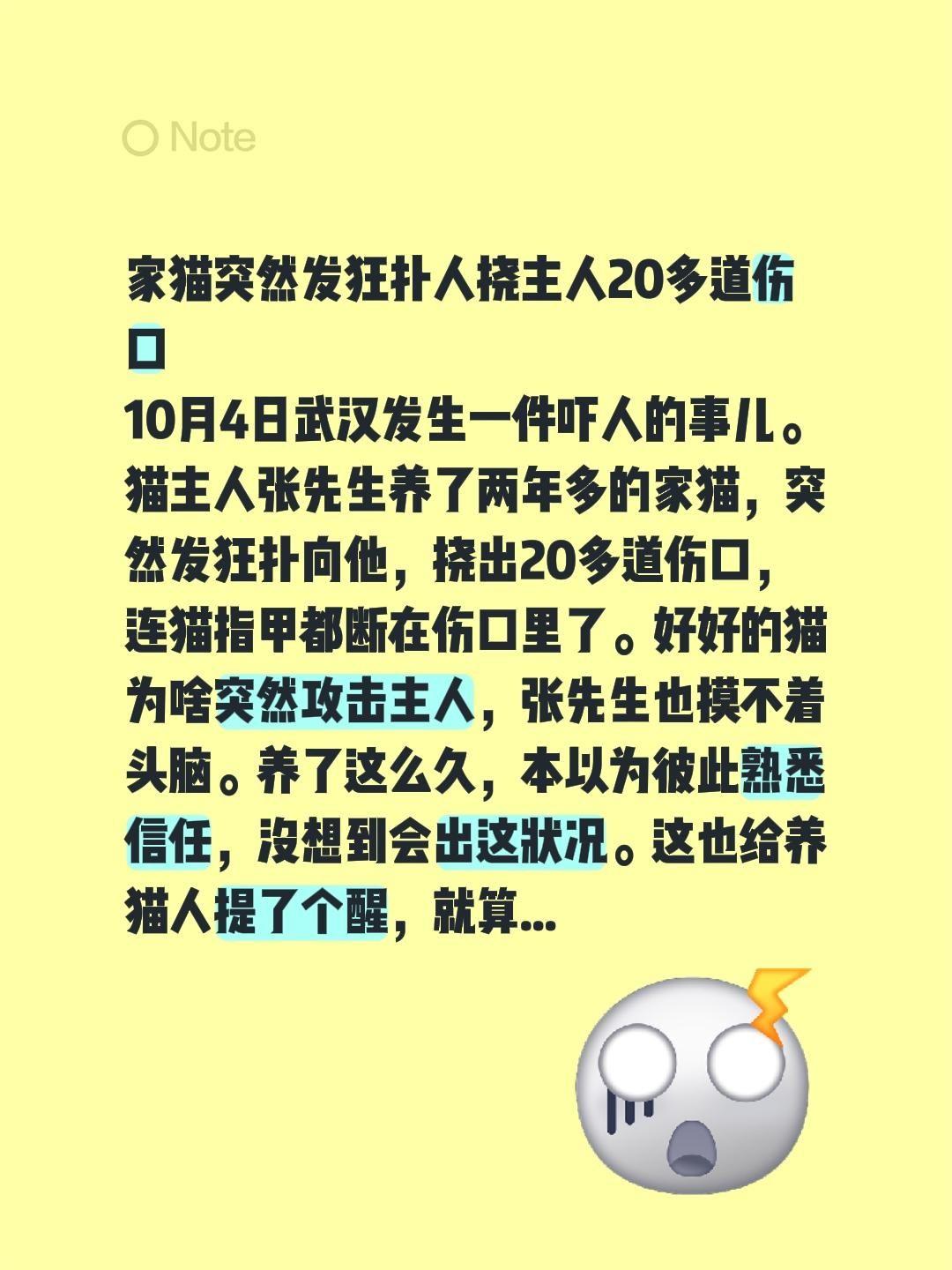 家猫突然发狂扑人挠主人20多道伤口10月4日武汉发生一件吓人的事儿。猫主人张先
