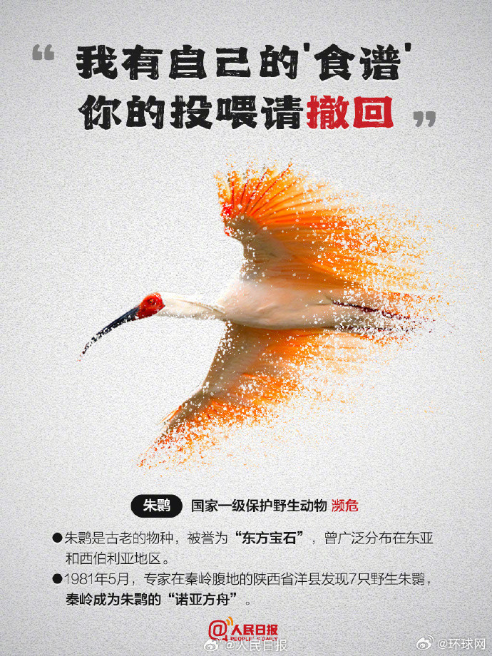 【今天，为它们发条微博！#别让珍稀动物成为消失的它#】#因为珍稀所以更珍惜#“