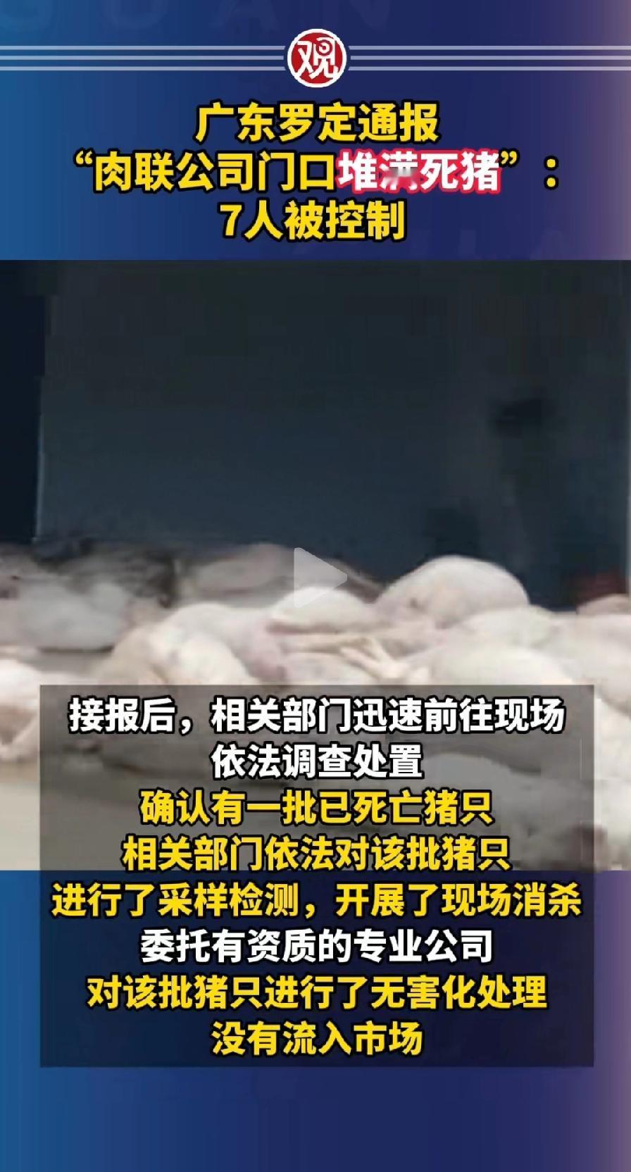 罗定肉联厂死猪事件,死猪肉并没流入市场,而是全部进行了无害化处理,大家放心