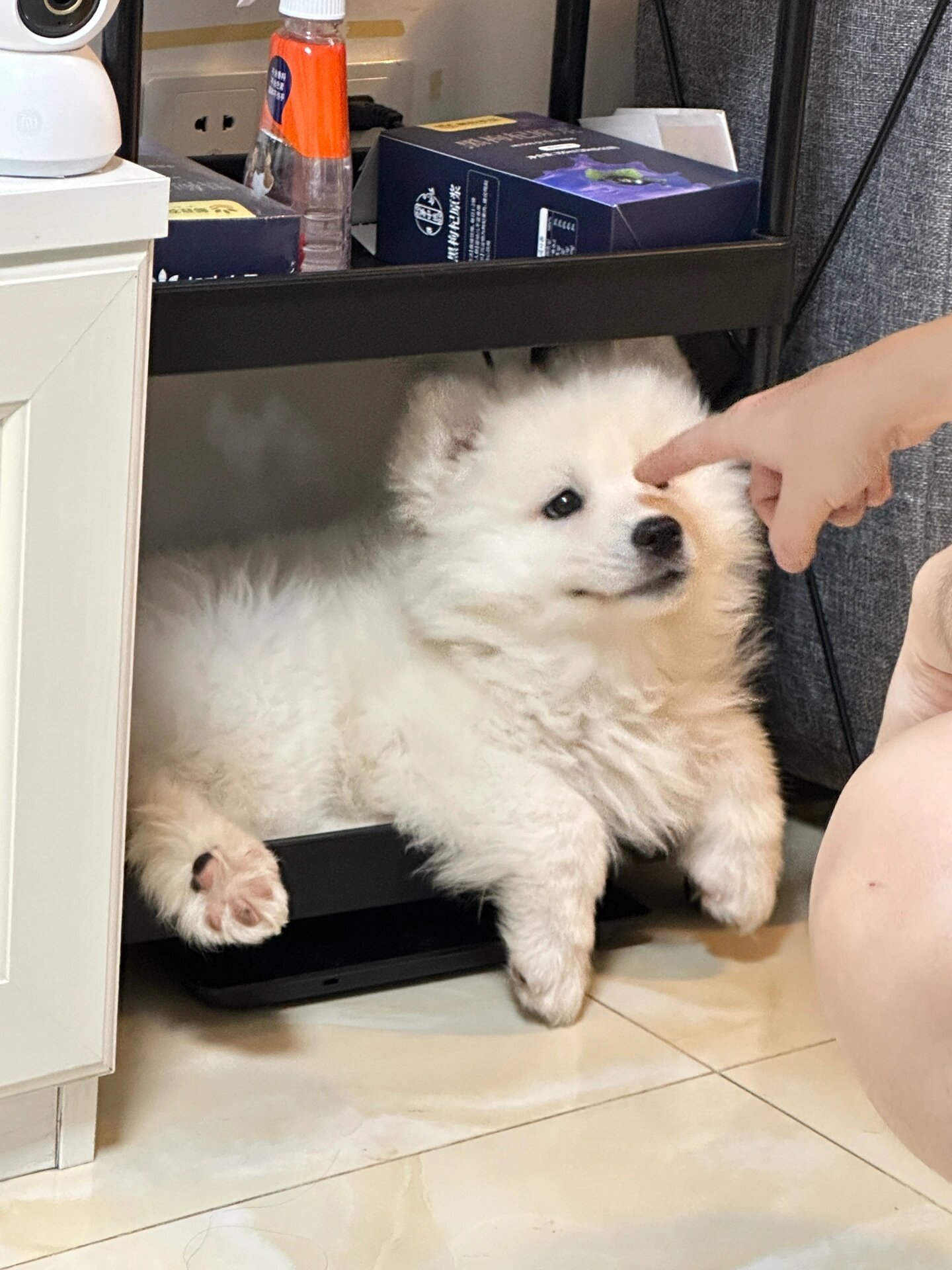 我这么可爱，你能拿我怎么办耶​​​