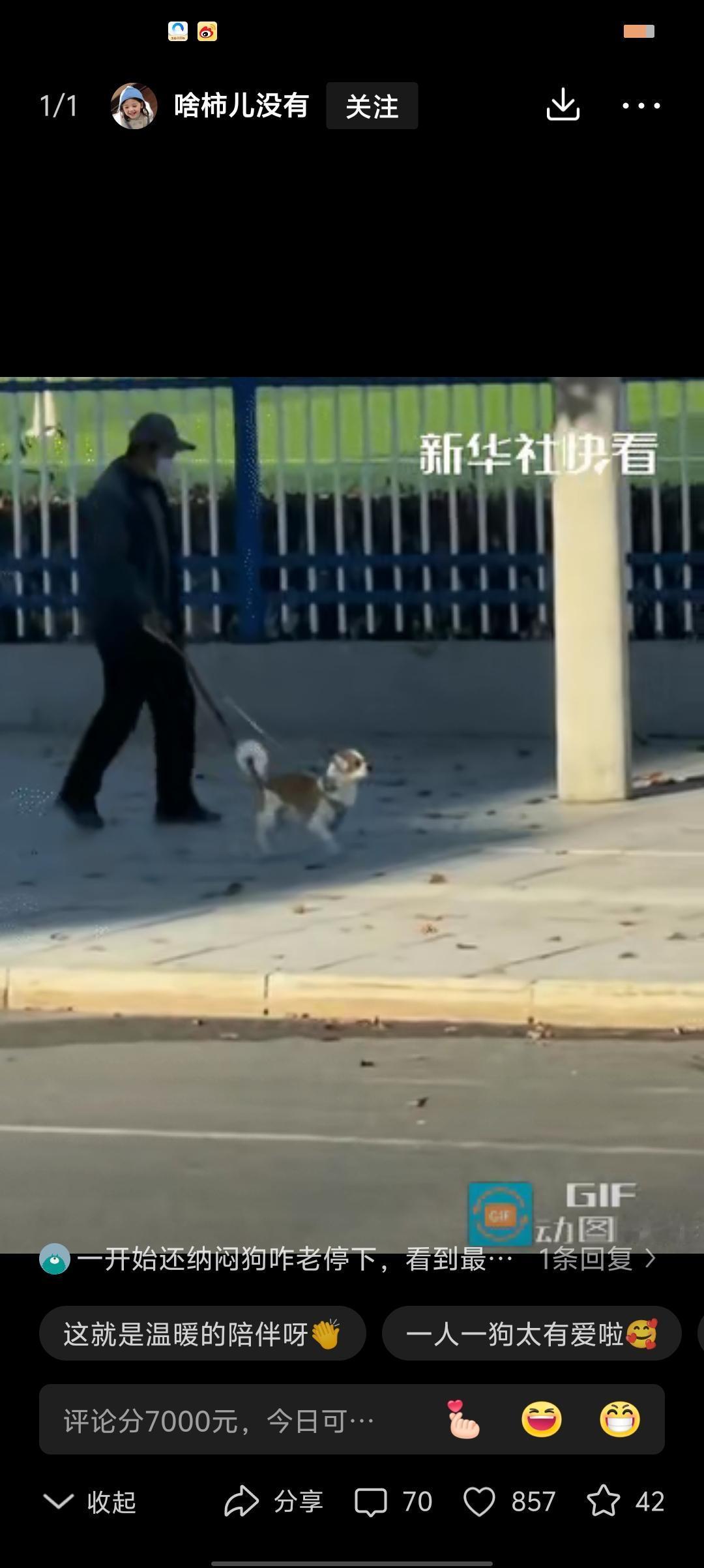 直接火到了新华社!一个生病的老人牵着狗狗散步,狗狗跑两步坐一会儿,结果看到最后我