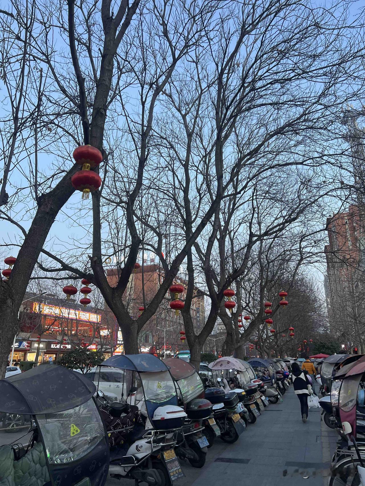 腊月二十六的眉县县城县城的过年气氛比曲江浓郁多了街边树上的红灯笼🏮是传