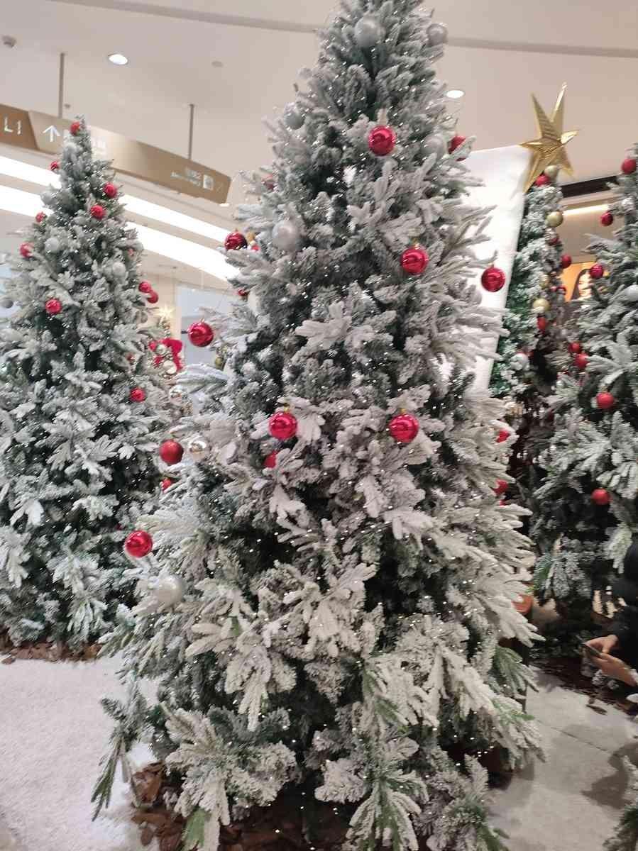 我拒绝了。那个在儿子生病后消失了两年的前女友，刚给我打了电话。她带着哭腔，求我