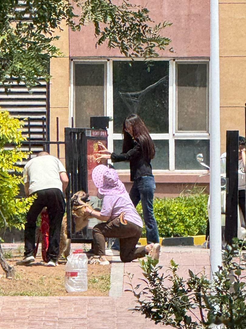 狗狗被卡住了跨越多个小区到另外一个地方，狗狗半路上不跟着走，自己回去