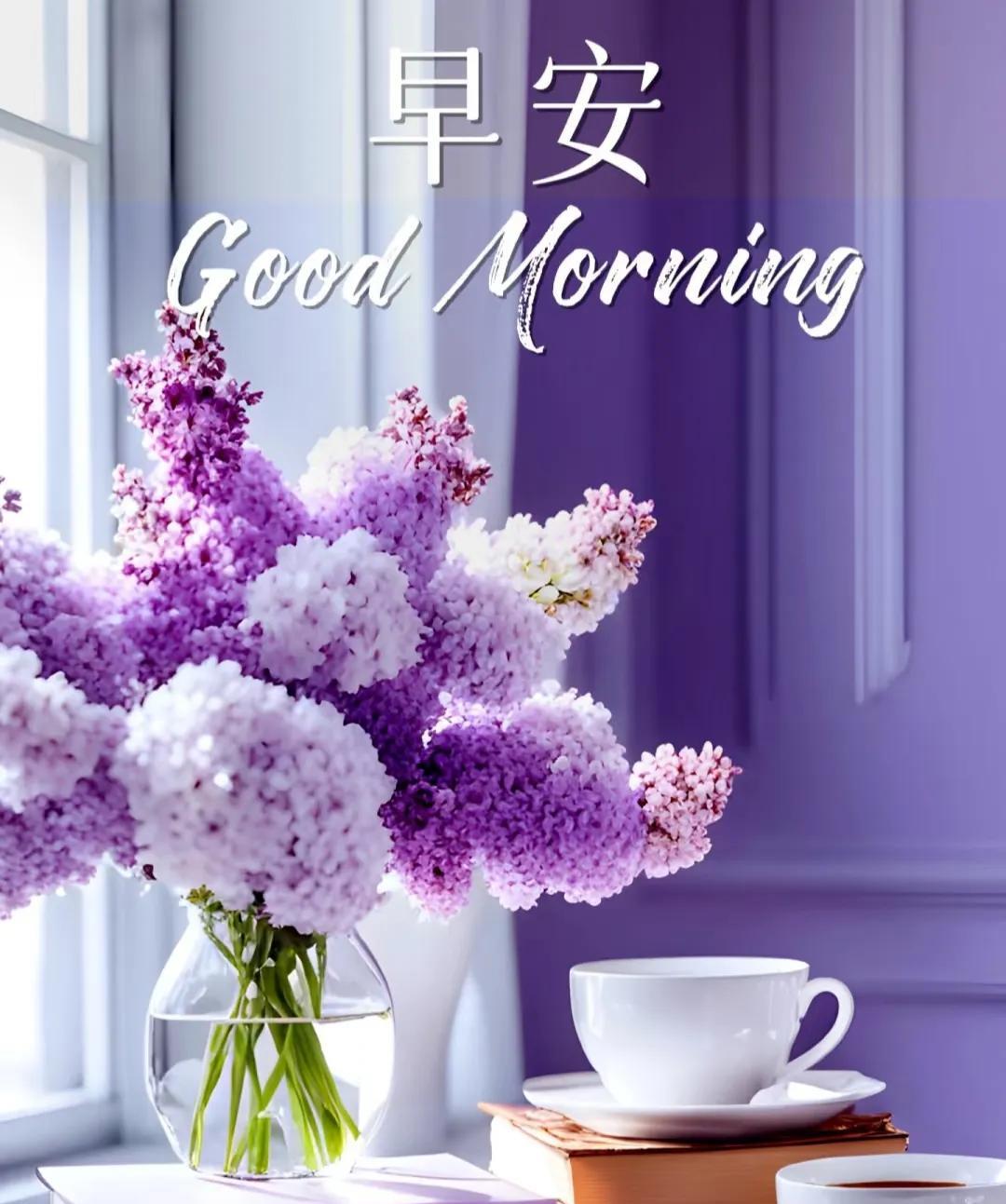 早上好，今天是6月16日星期一，距女排世联赛香港站的比赛还有两天。后天就要打香