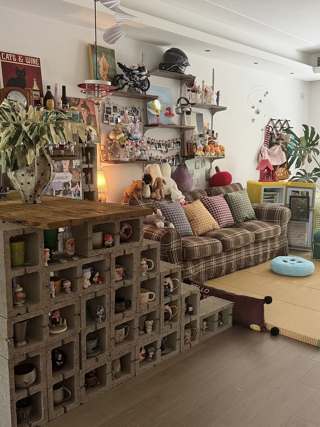 用心装扮的出租屋🏠
