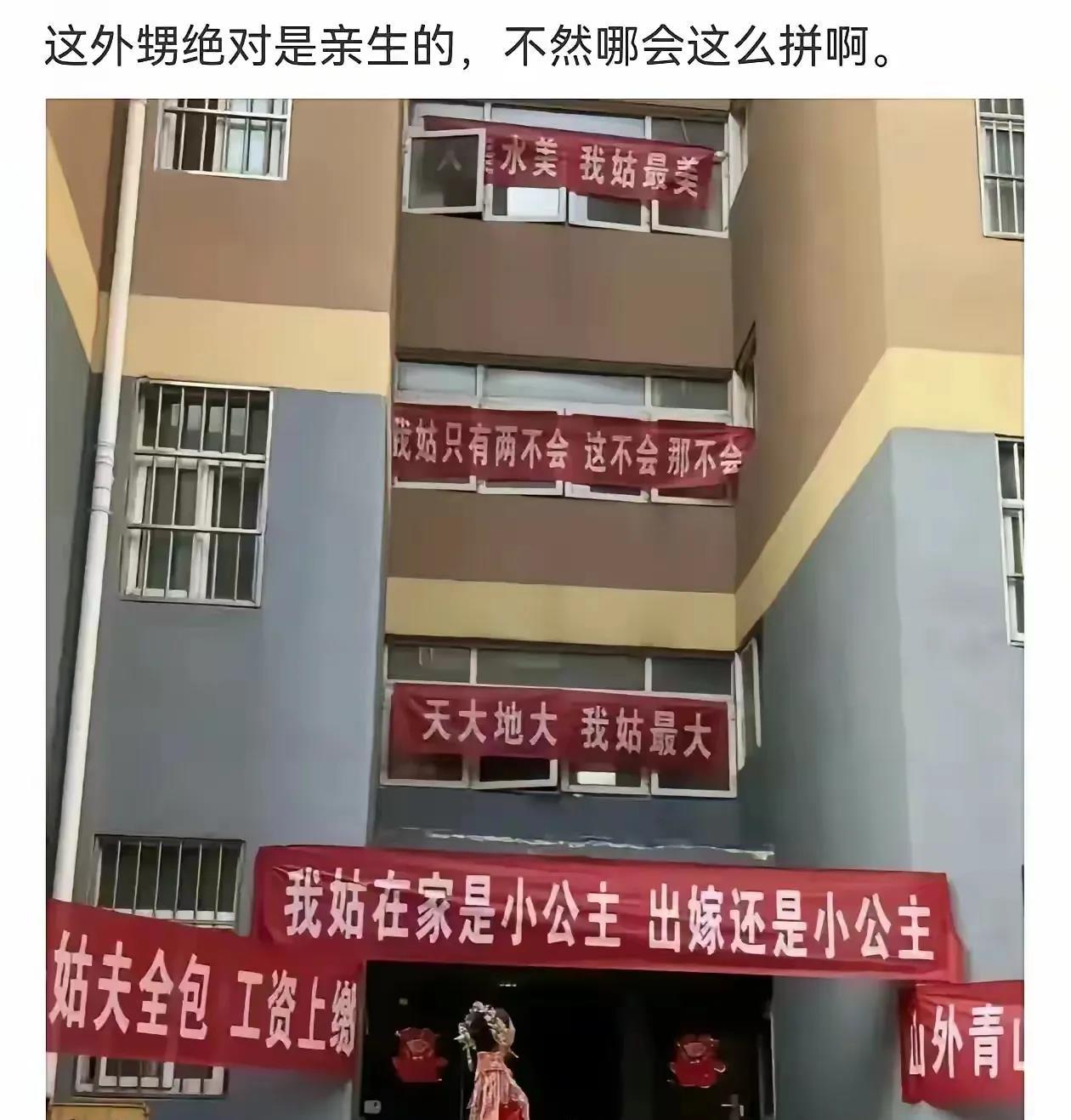 这侄儿，小时候肯定被姑打多了。