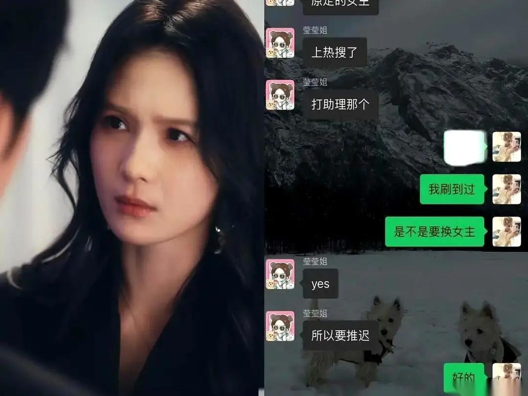 别可怜《掌间》剧组，他们早该醒了。女主角一个踉跄，整部戏摔进泥里。200个