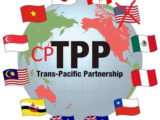 从“美国弃子”到“全球香饽饽”，CPTPP这波逆袭，比爽文还刺激。2017年