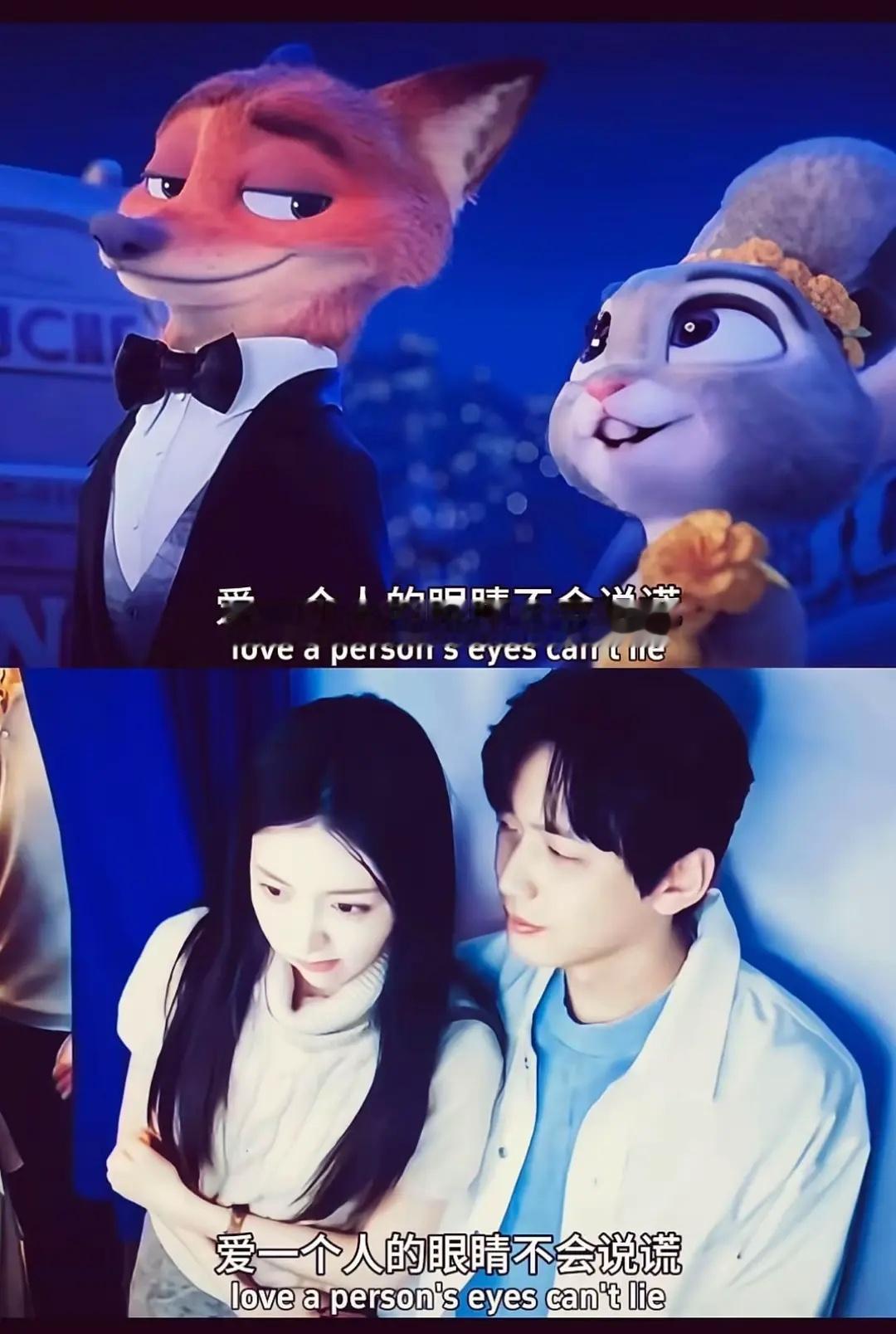 第五季｜好吧都来磕我家🦊🐰cp行不行💙💙P＆L半熟恋人半熟恋人