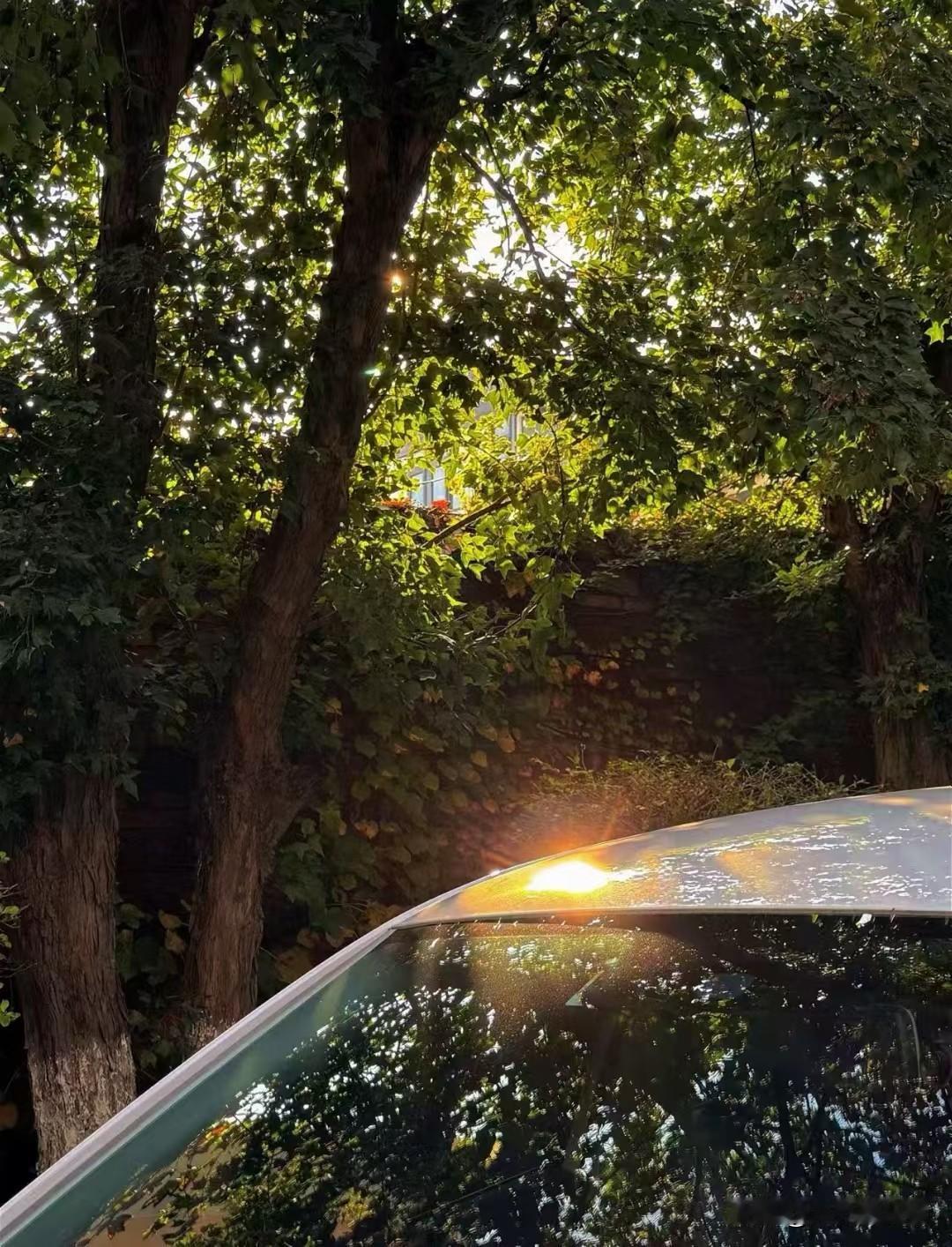 发现没有中年人最怕的不是失业、也不是没钱而是处于青春期的孩子不是因为