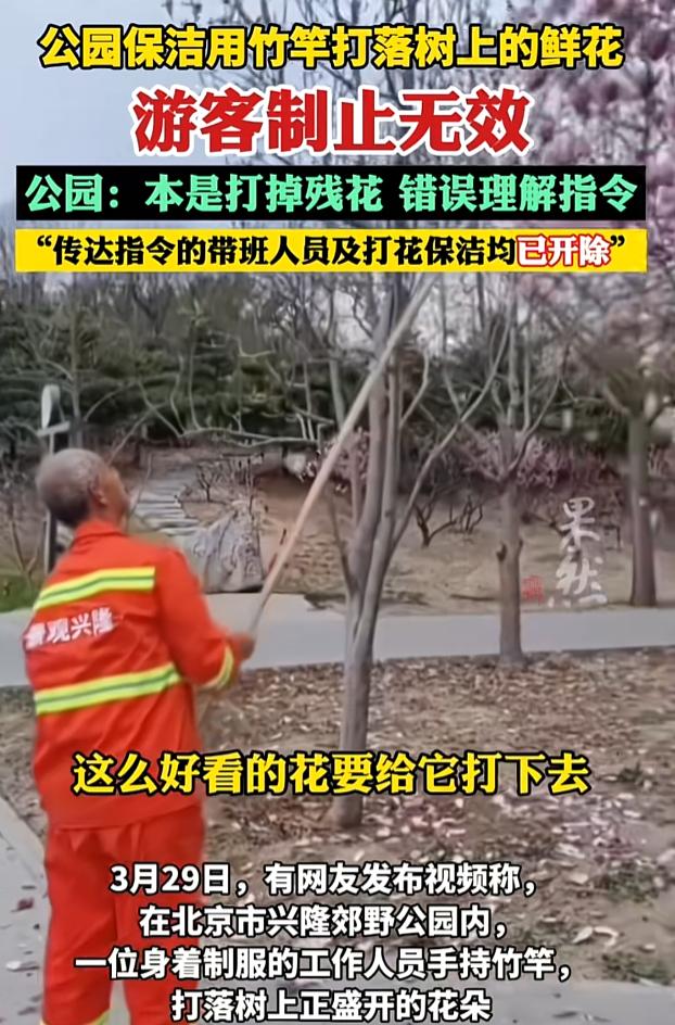 万万没想到！近日北京，随着春天到来，兴隆郊野公园里的鲜花也盛开，不少游客结伴来公