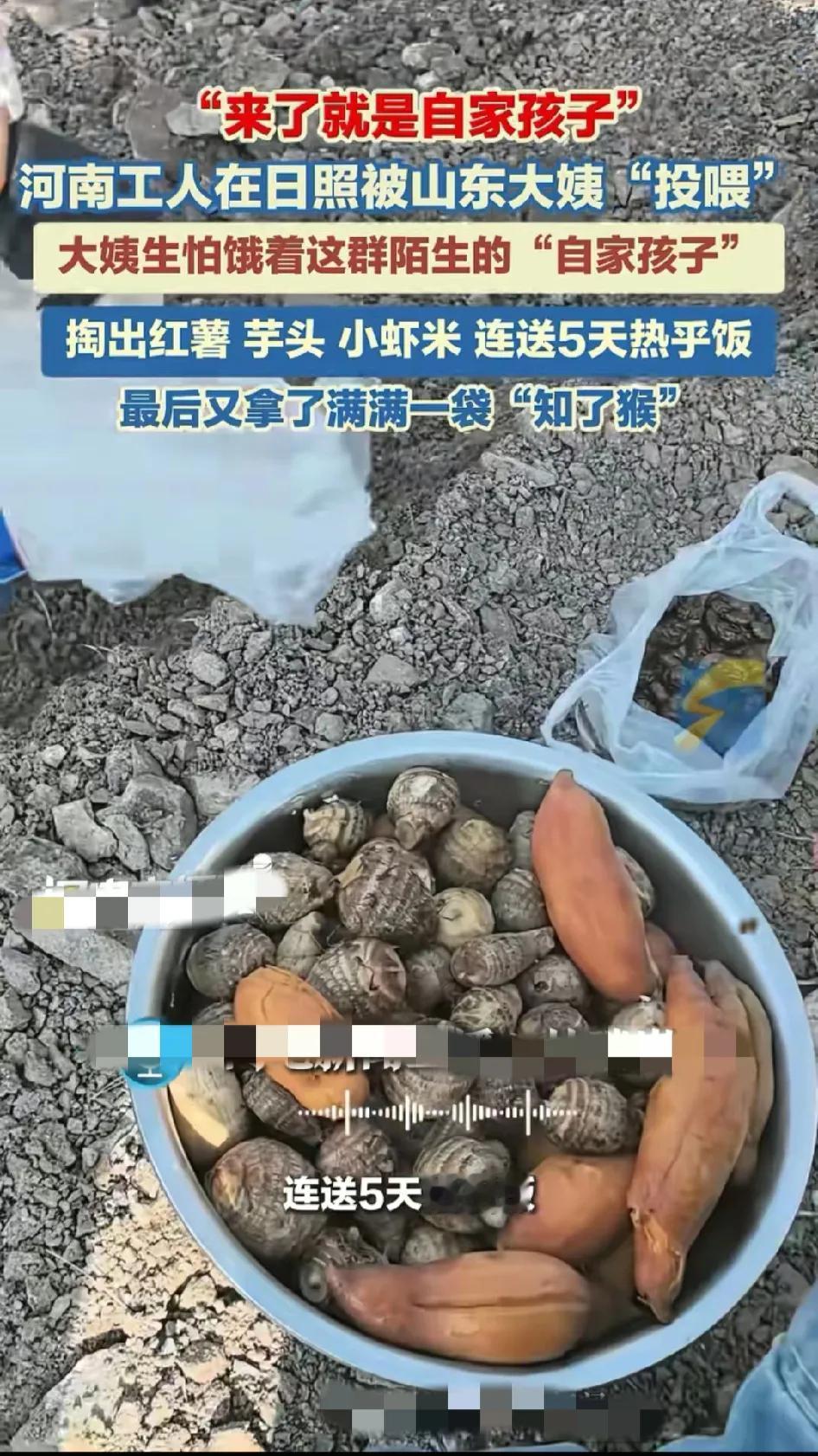 一河南网友发视频说他和工友在山东日照五莲县的一处施工当地的一位大娘接连五天