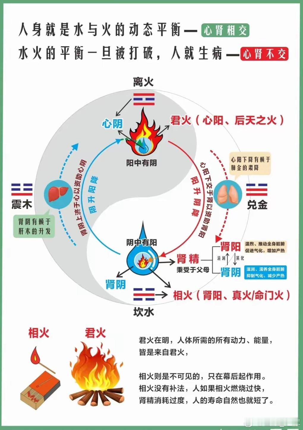 中医“引火归元”竟藏3种神奇配置，低配、中配、高配有什么妙处取其精华，存其理性。