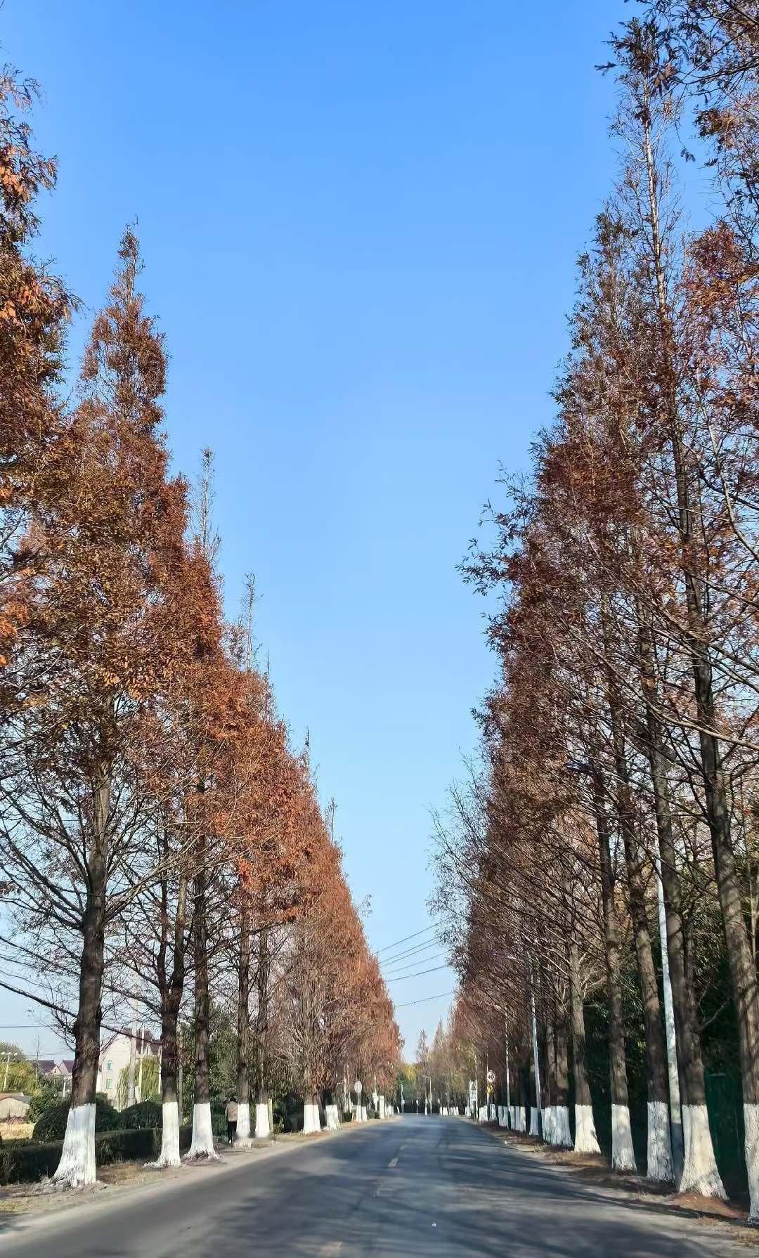 婚外情就是婚姻里的定时炸弹。它本质上就是不道德的，婚姻讲的就是信任和忠诚，一旦