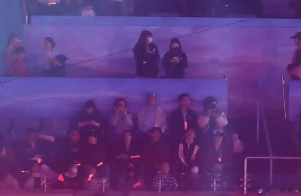 张极又去看张杰演唱会了张极现身张杰鸟巢演唱会张极又去看张杰演唱会了，这次是鸟巢