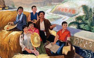 农业专家温铁军曾发出疑问：“要是按照当初的设想继续发展，中国的乡村会走向何处？”