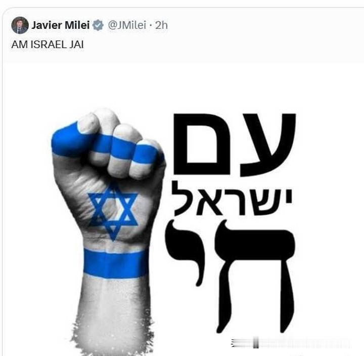 不忘10·7之痛！米莱高调表态：以色列民族长存。10月7日，哈马斯突袭以